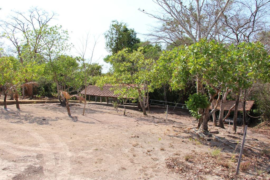 Hotel Fazenda Arara Azul Carolina  Eksteriør bilde