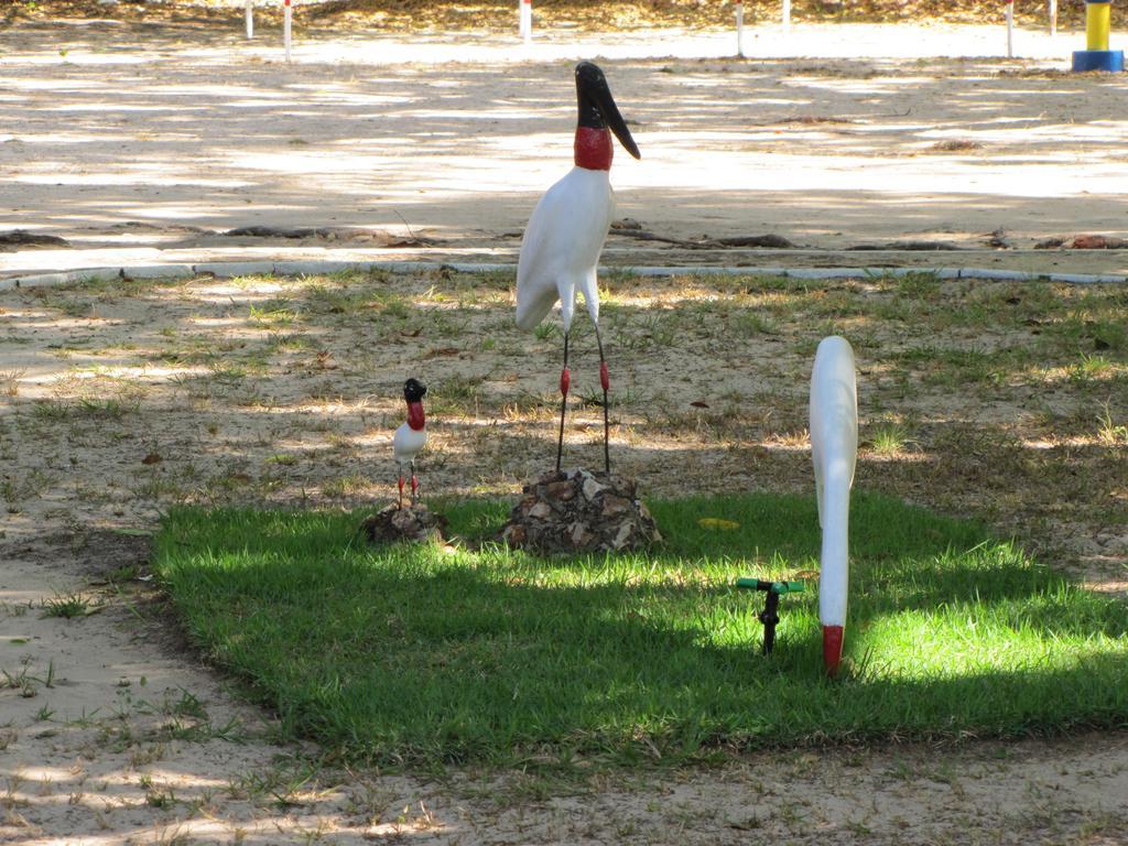 Hotel Fazenda Arara Azul Carolina  Eksteriør bilde